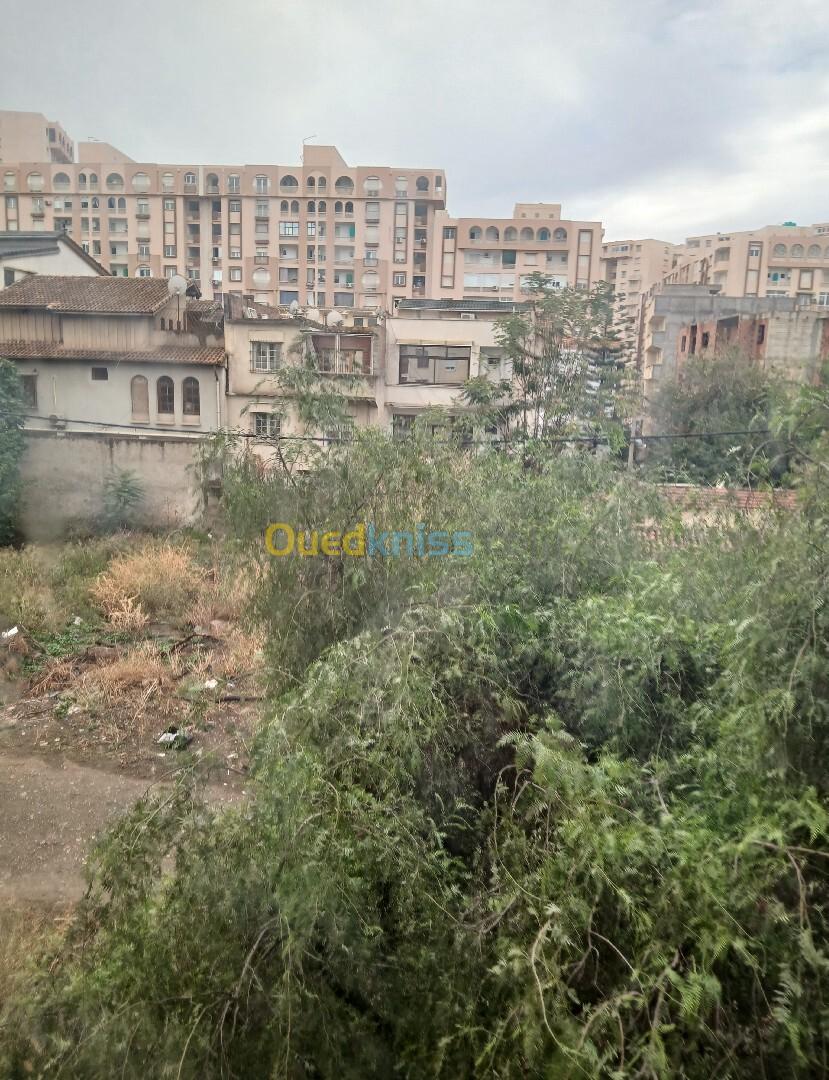 Location Appartement F03 Blida Blida