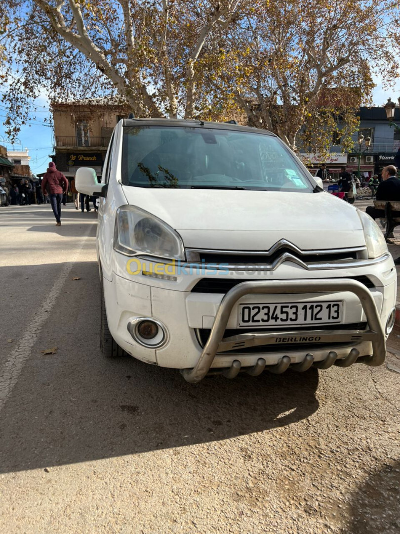 Citroen Berlingo 2012 Berlingo