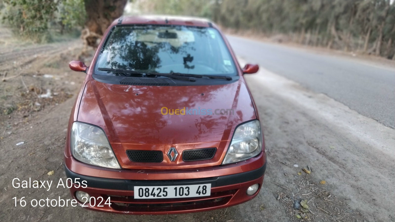 Renault Scenic 2003 DCI