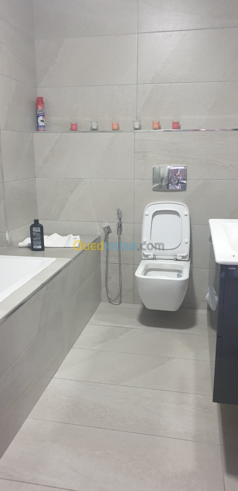 Location Appartement F3 Alger Hydra