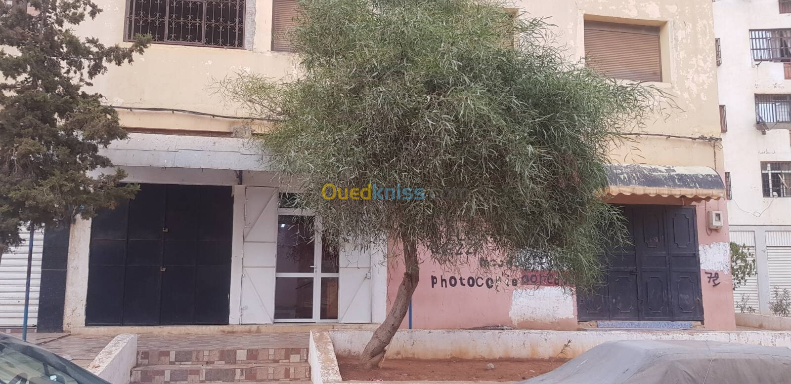 Location Local Oran Bir el djir