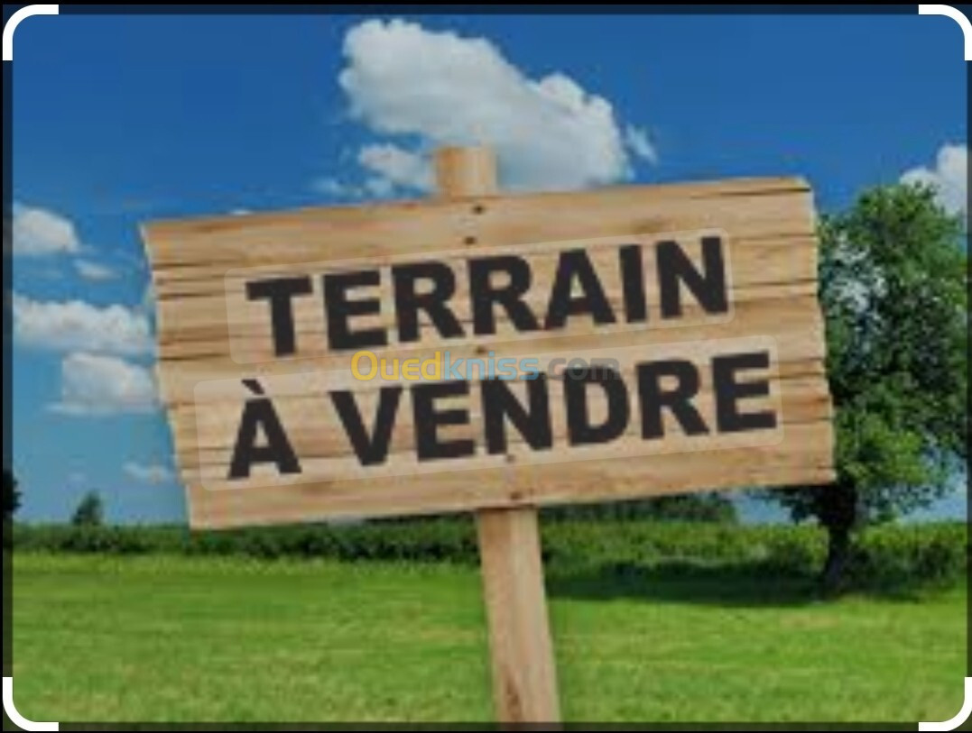 Vente Terrain Oran Oran