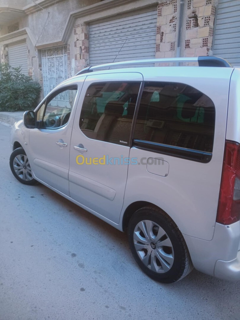 Citroen Berlingo 2010 Tepi