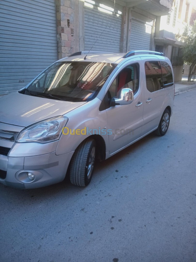 Citroen Berlingo 2010 Tepi