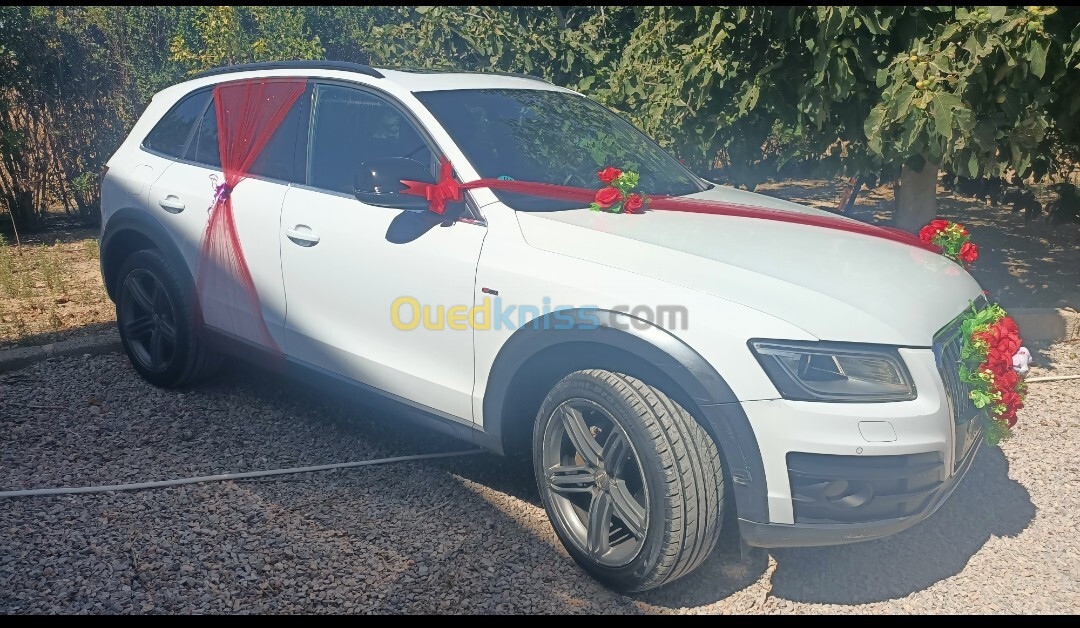 Audi Q5 2014 S Line