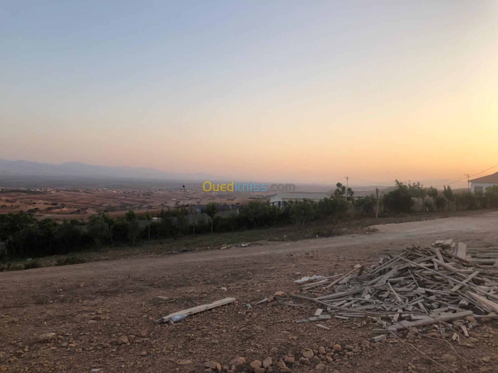 Vente Terrain Tlemcen Marsa ben mhidi