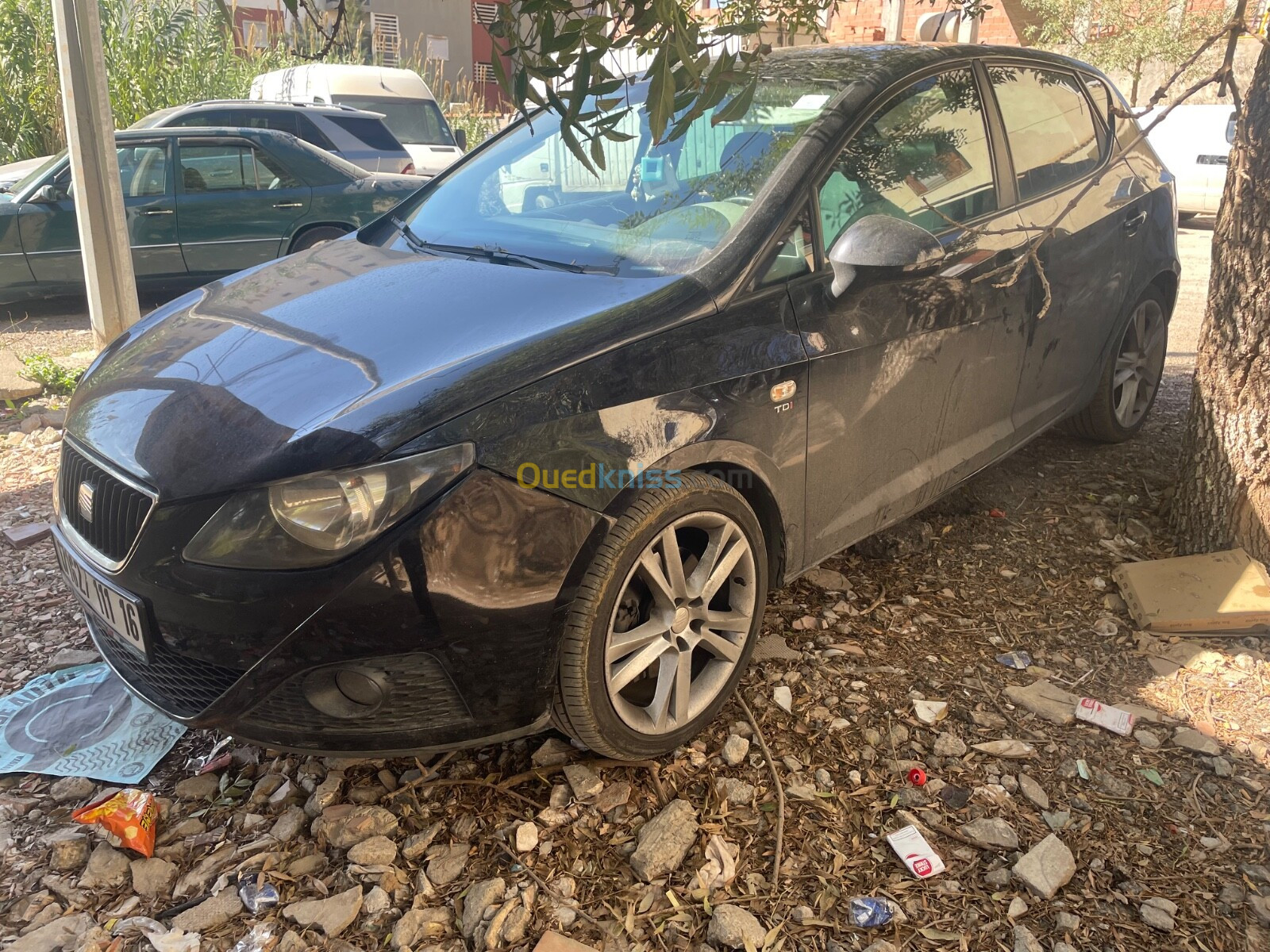 Seat Ibiza 2011 Loca