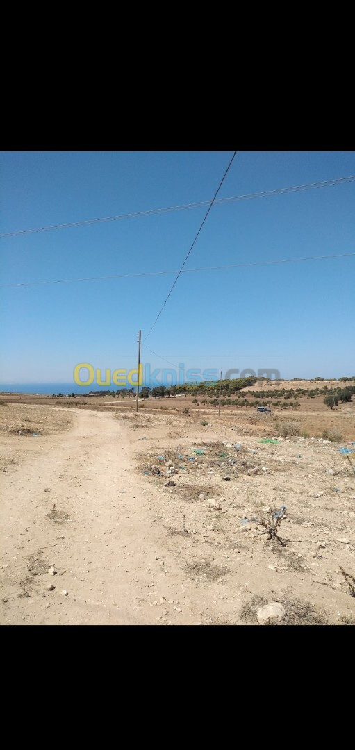 Vente Terrain Mostaganem Stidia