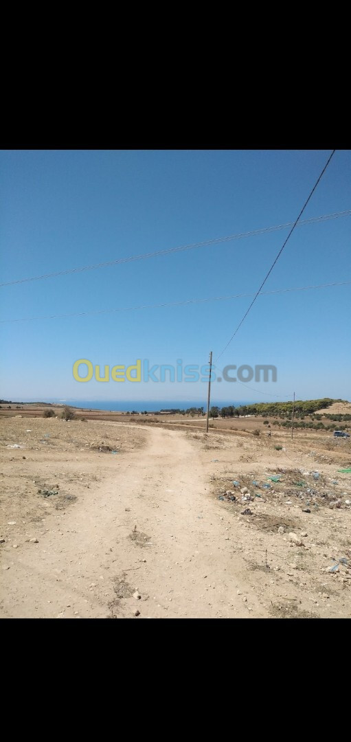 Vente Terrain Mostaganem Stidia