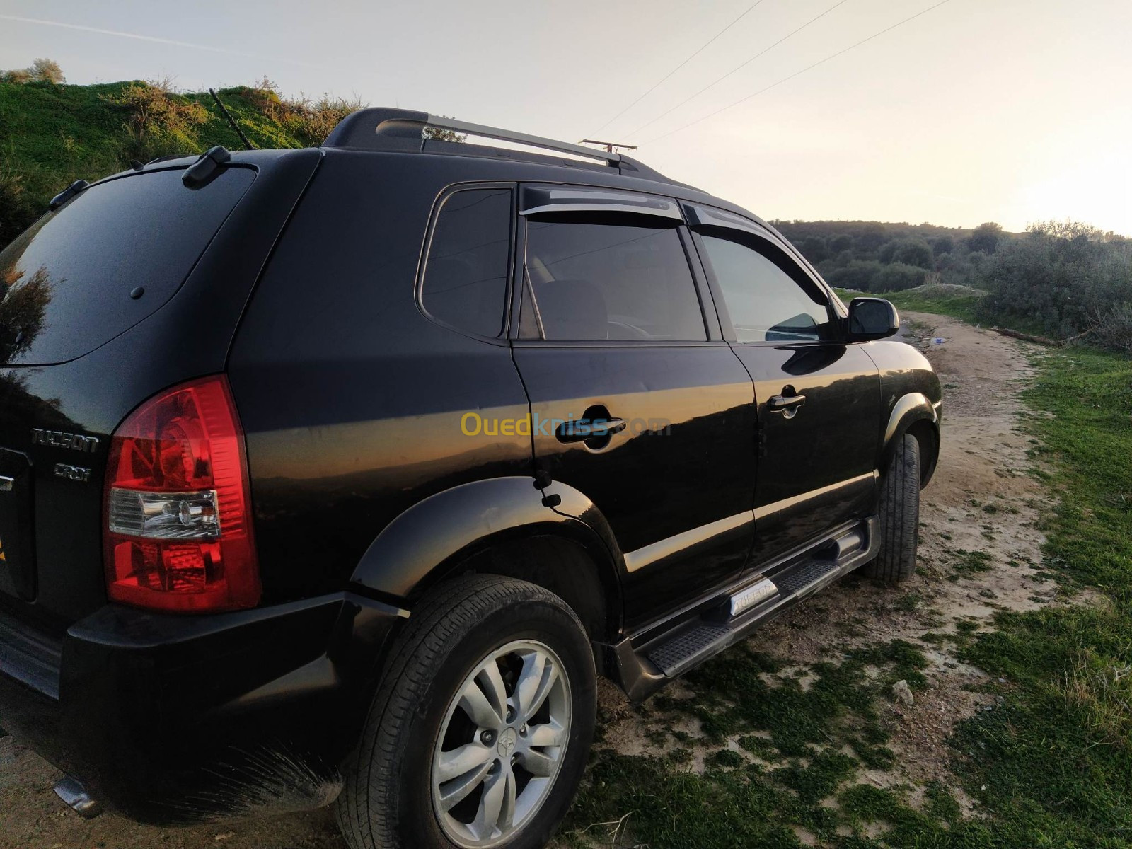 Hyundai Terracan 2010 Terracan