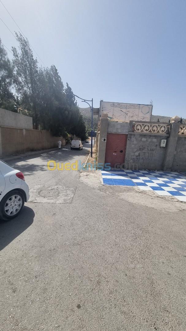 Vente Terrain Batna Fesdis