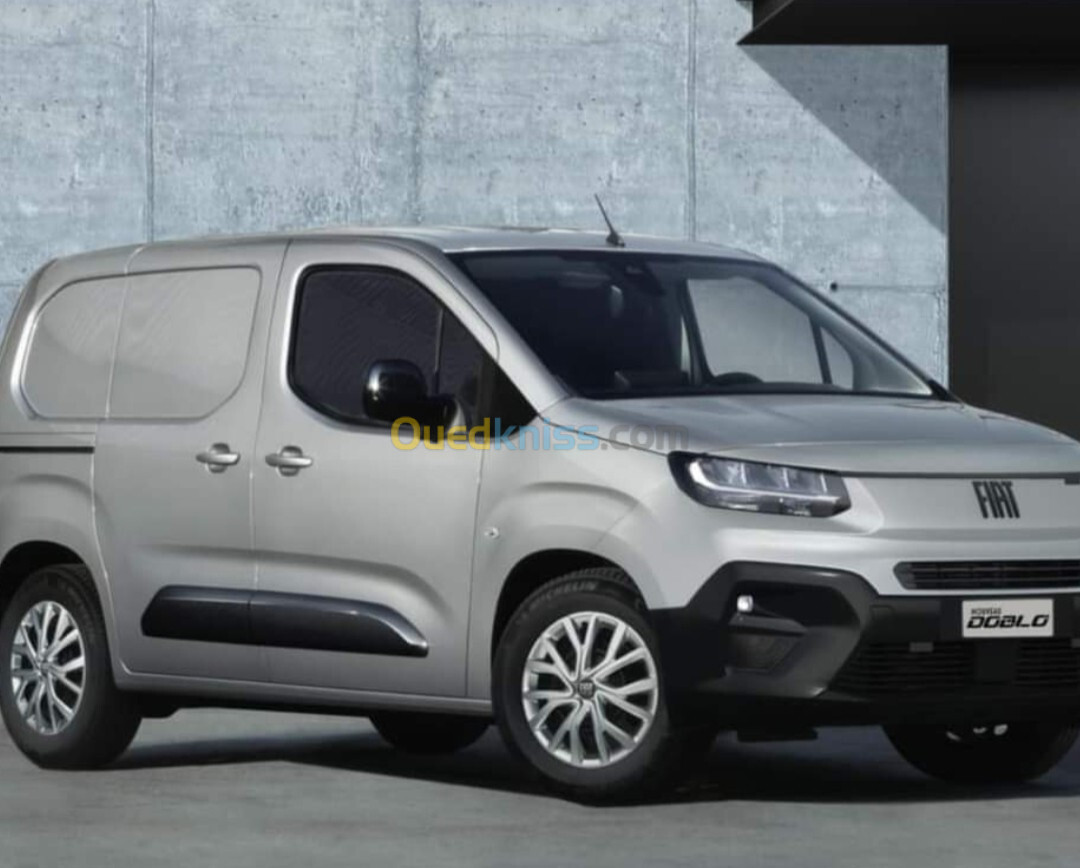 Fiat Professional Doblo 2024 