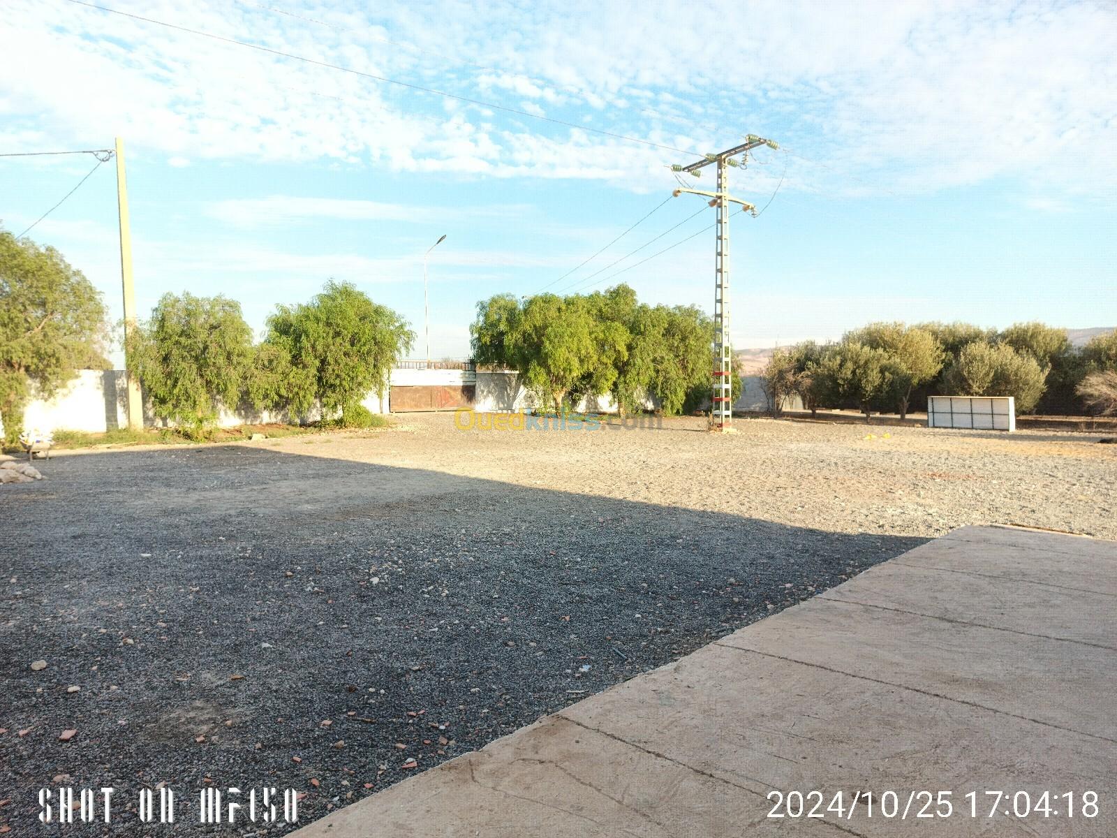 Location Hangar Oran Tafraoui