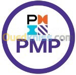 Certification PMP - PMI v2025 Project Management Professional 