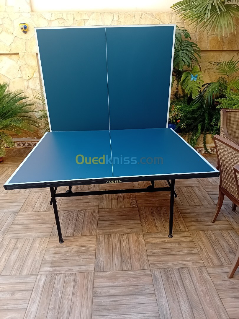 Table de tennis 