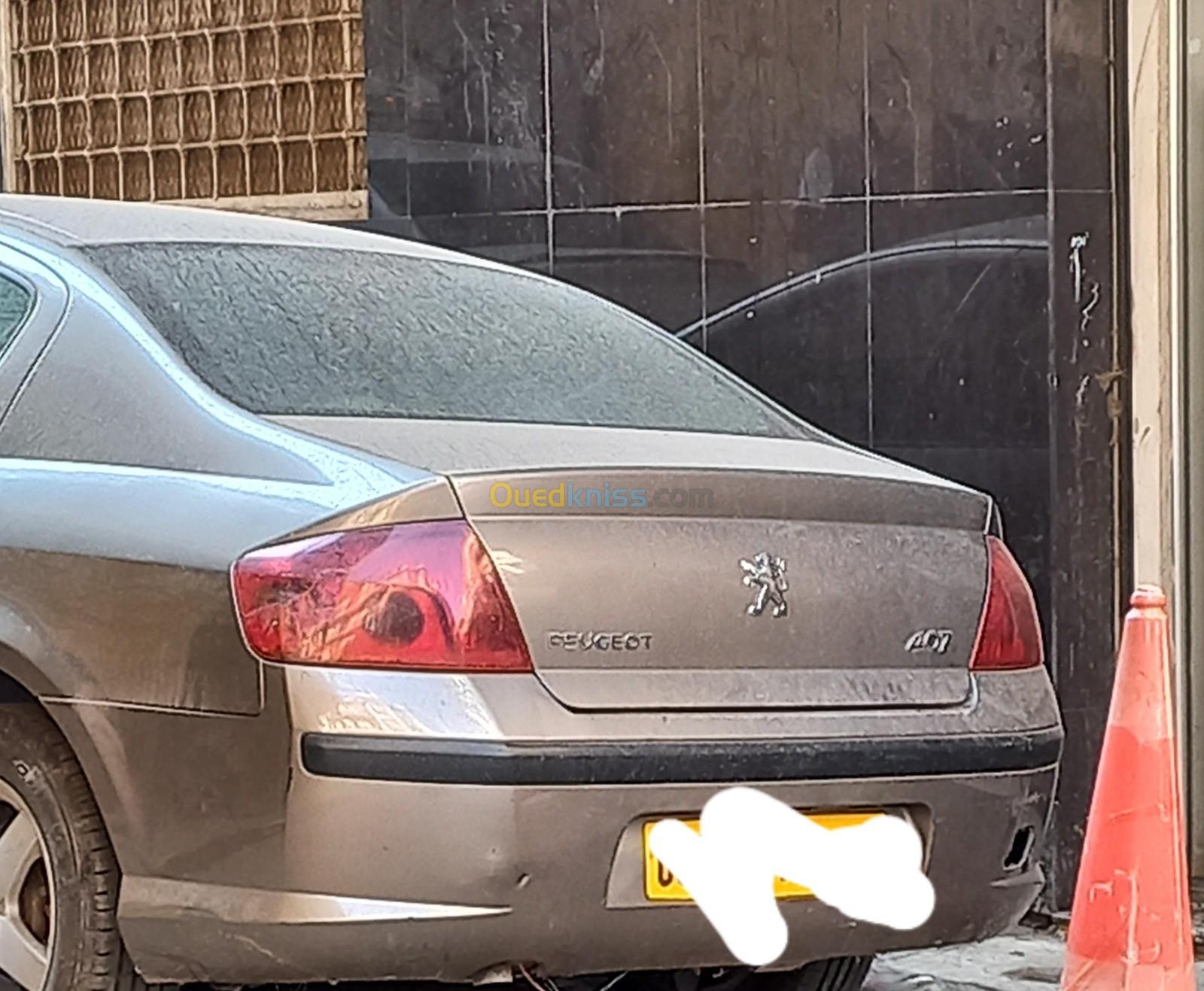 Peugeot 407 2009 407