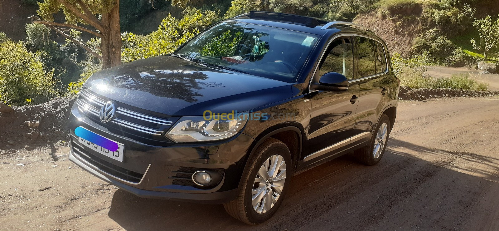 Volkswagen Tiguan 2013 Life