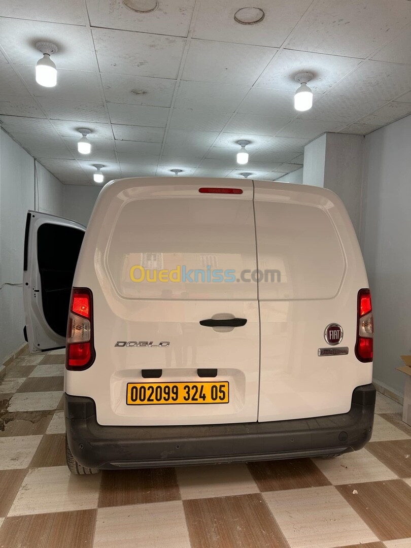 Fiat Professional Doblo dz 2024 Doblo