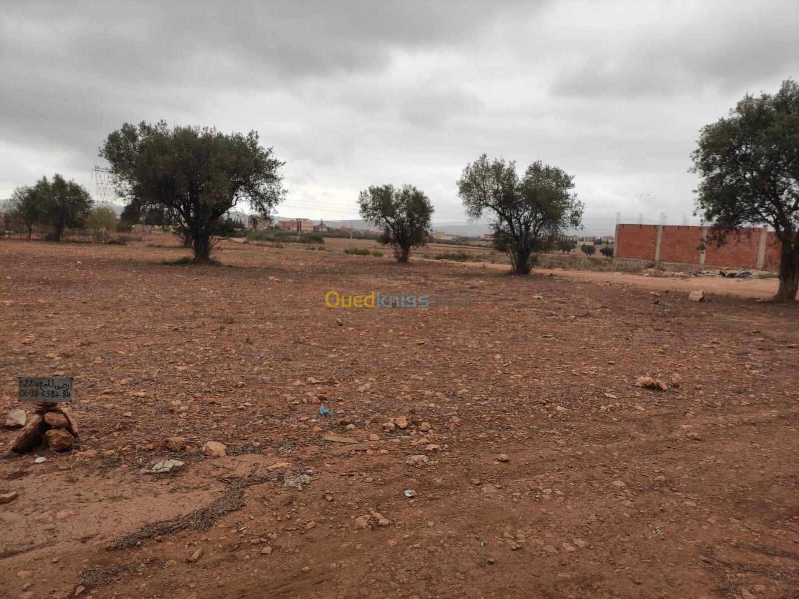 Vente Terrain Tlemcen Nedroma