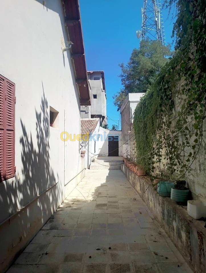 Vente Niveau De Villa F7 Annaba Seraidi