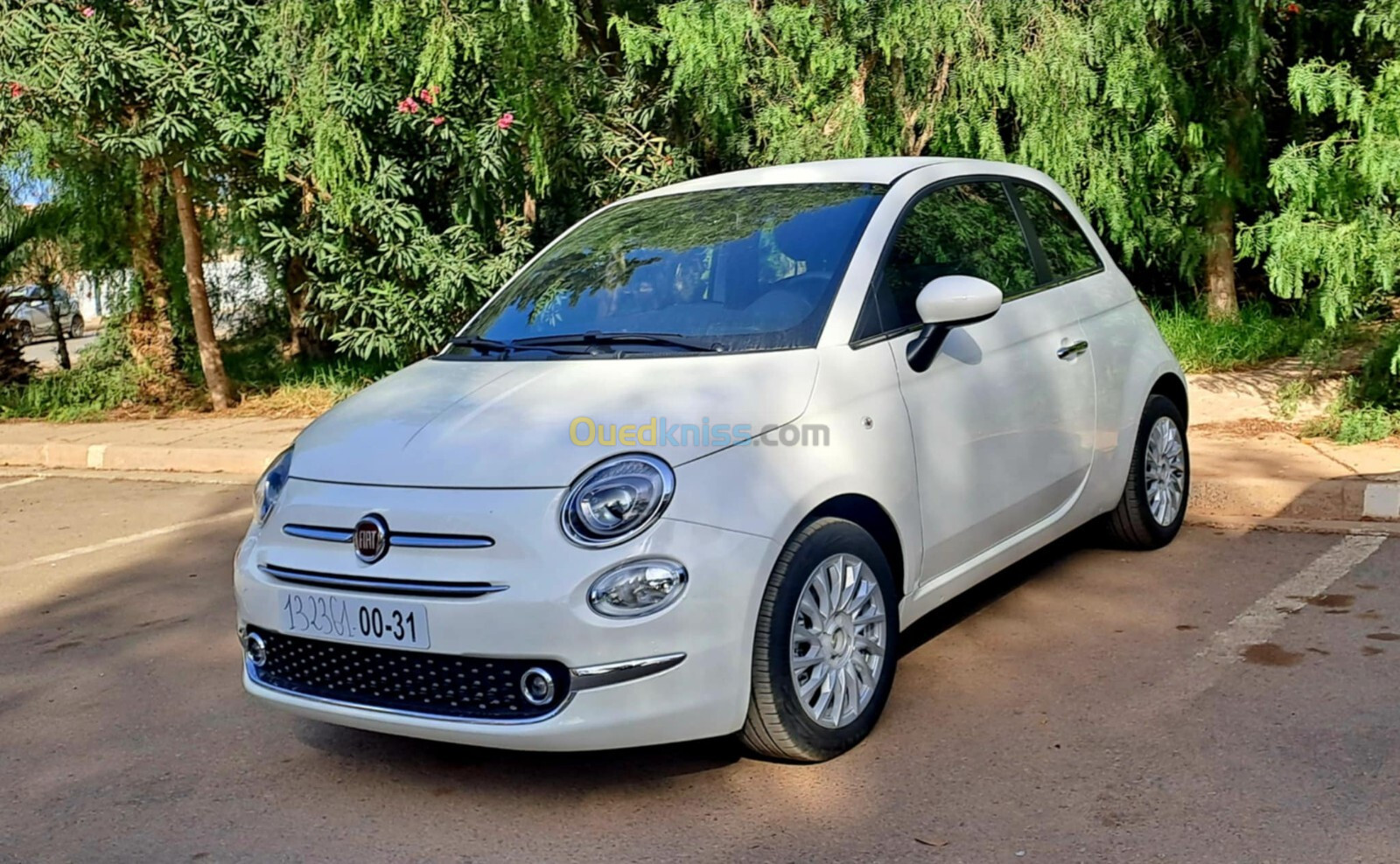 Fiat 500 dolcevita 2024 