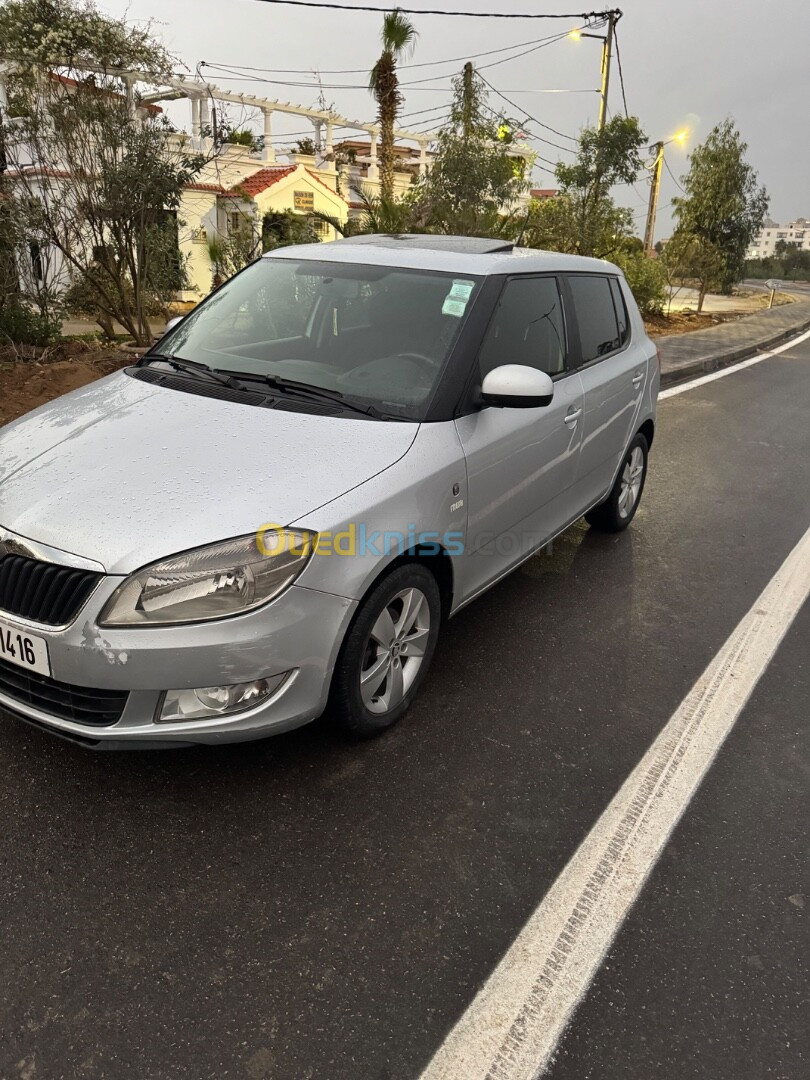 Skoda Fabia 2014 Fresh