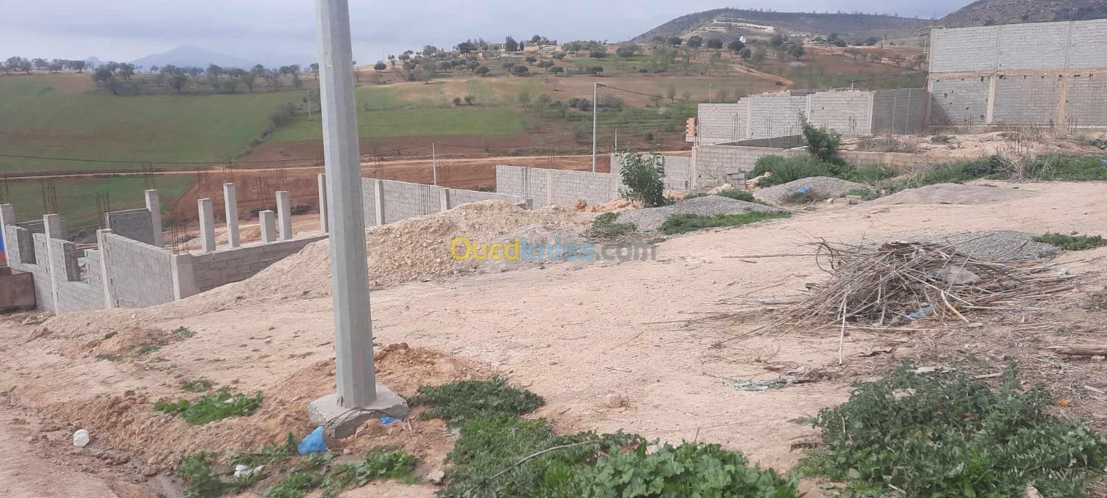 Vente Terrain Tlemcen Remchi