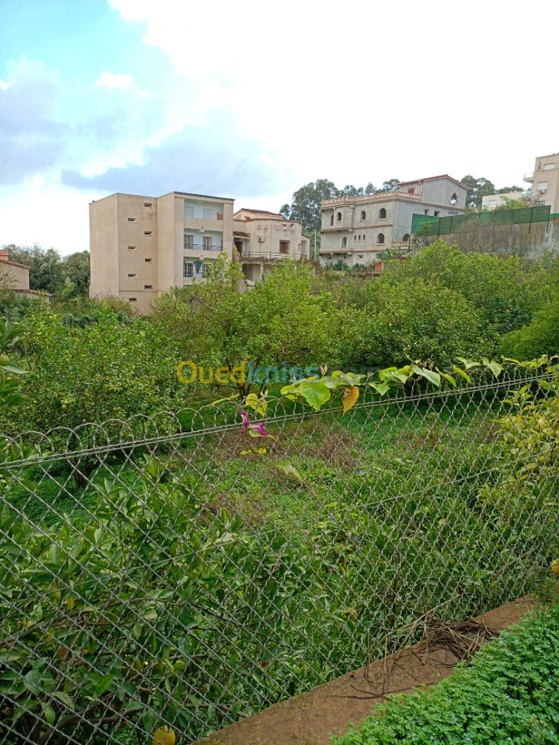 Vente Terrain Alger Draria