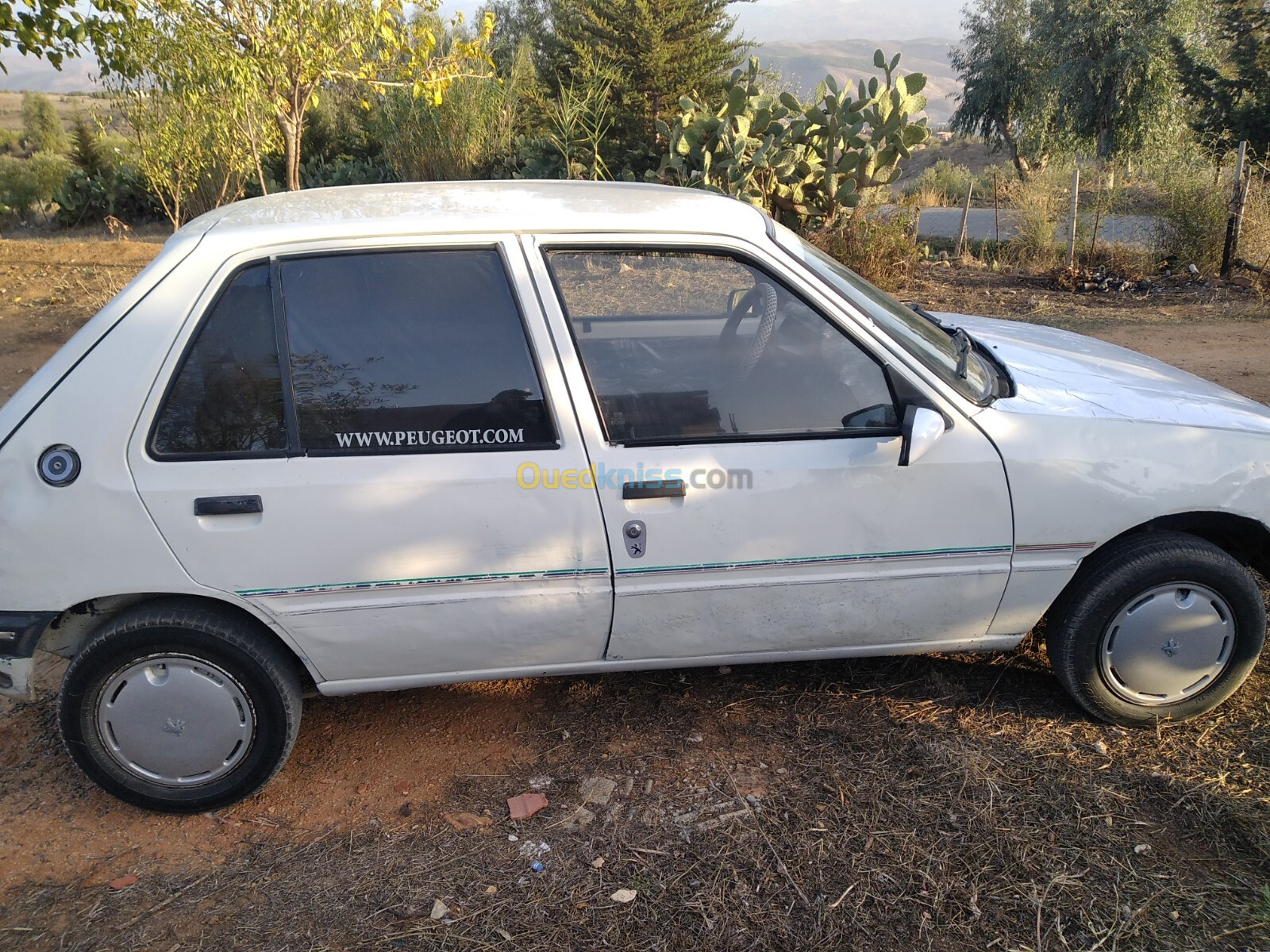 Peugeot 205 1991 Junior