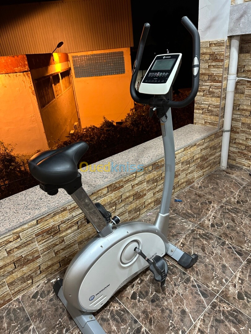 Velo d'appartement Horizon Fitness Paros