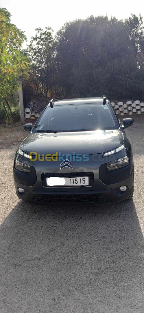 Citroen C4 Cactus 2015 C4 Cactus