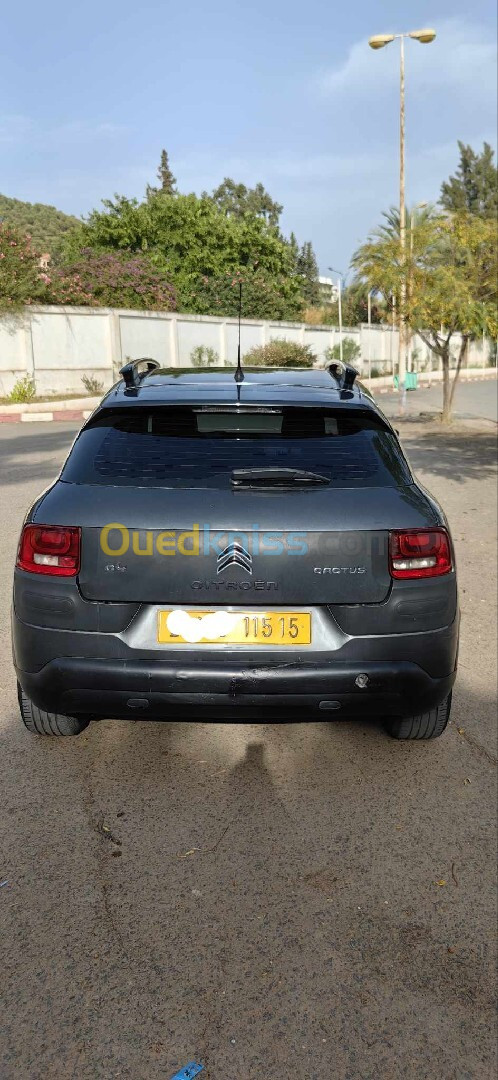 Citroen C4 Cactus 2015 C4 Cactus