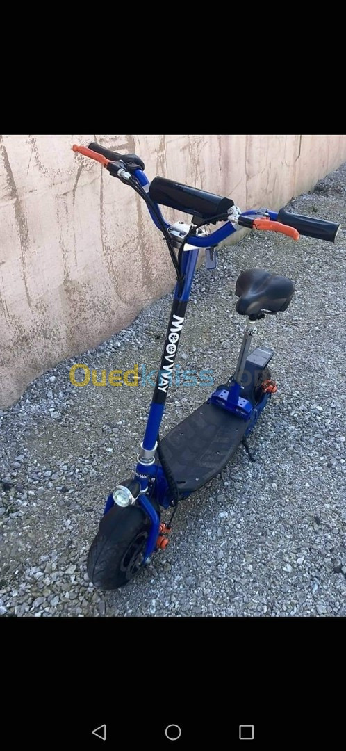 Trottinette, scooter électrique 