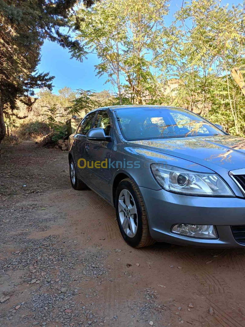 Skoda Octavia 2013 Octavia