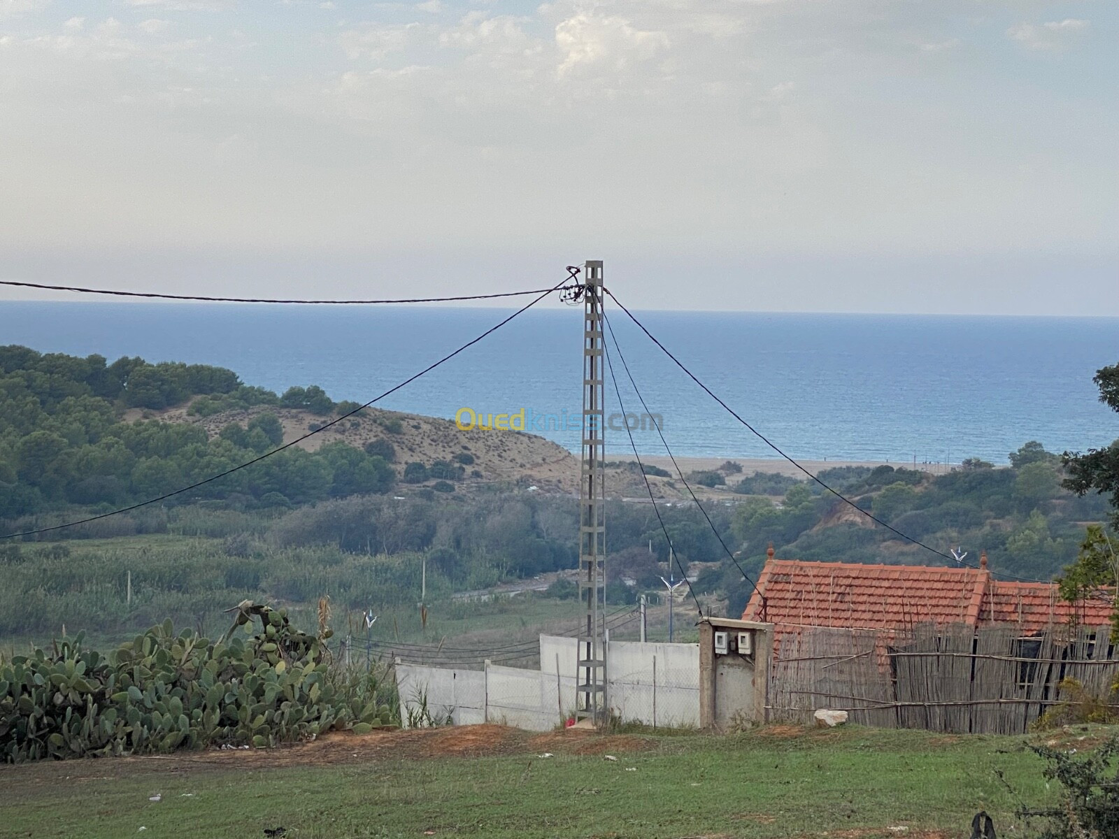 Vente Terrain Boumerdès Zemmouri