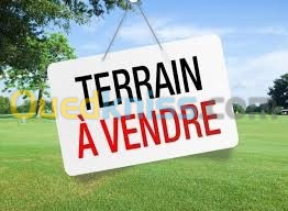 Vente Terrain Alger Ben aknoun