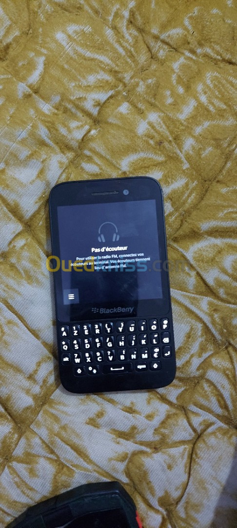 Blackberry Blackberry