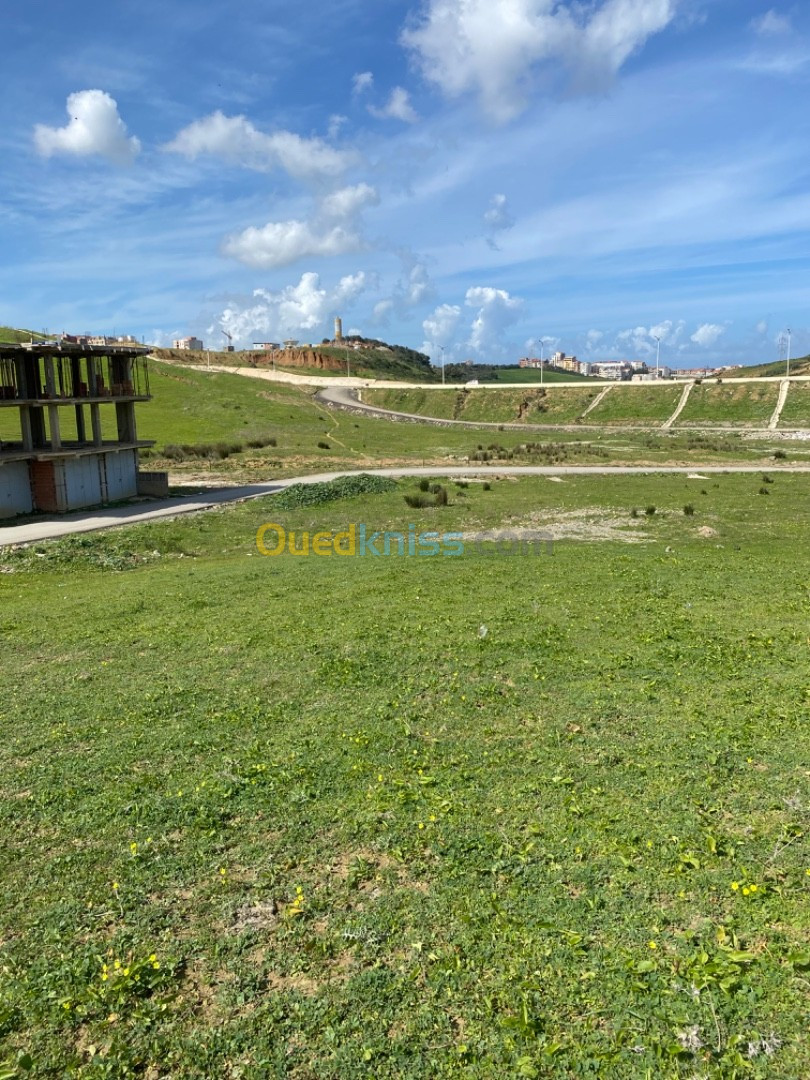 Vente Terrain Boumerdès Tidjelabine