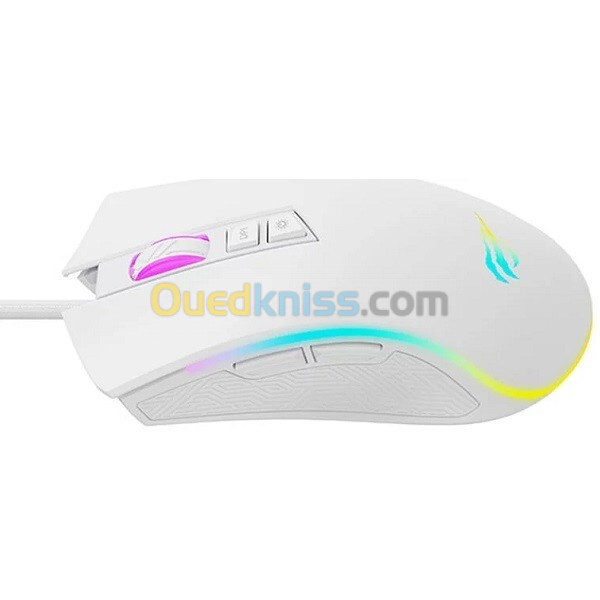 Souris gamer  HAVIT S/F MS1034 RGB PROGRAMABLE/ GAMS64WB 2.4HZ BLUETOOTH RECHARGABLE