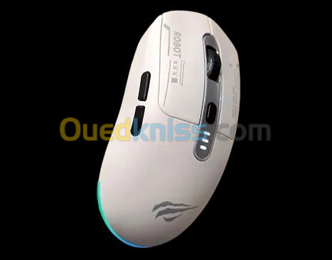 Souris gamer  HAVIT S/F MS1034 RGB PROGRAMABLE/ GAMS64WB 2.4HZ BLUETOOTH RECHARGABLE