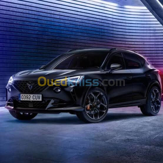 Seat Cupra 2023 Formentor