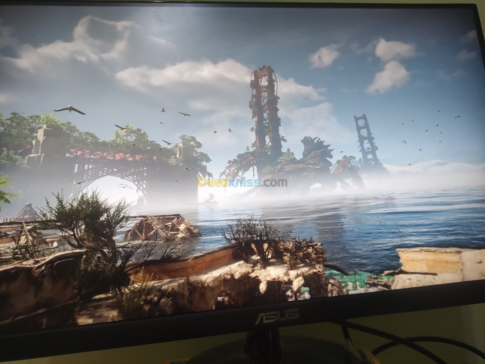 Ecran Asus 24" 144hz Full HD IPS 