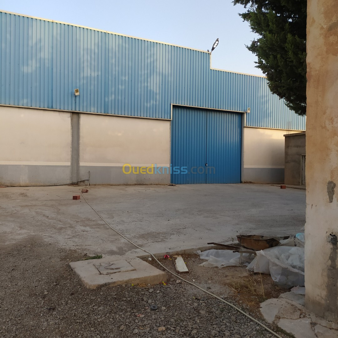 Location Hangar Setif Ain arnat