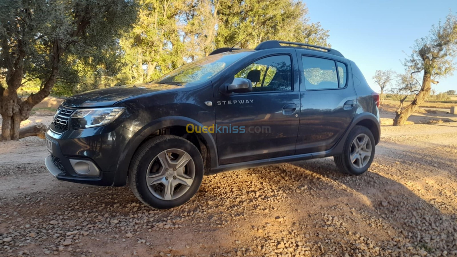 Dacia Sandero 2019 Stepway restylée