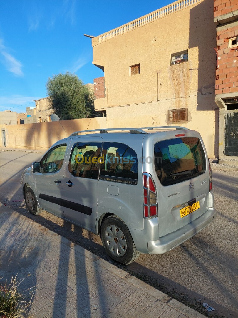 Citroen Berlingo 2010 Berlingo