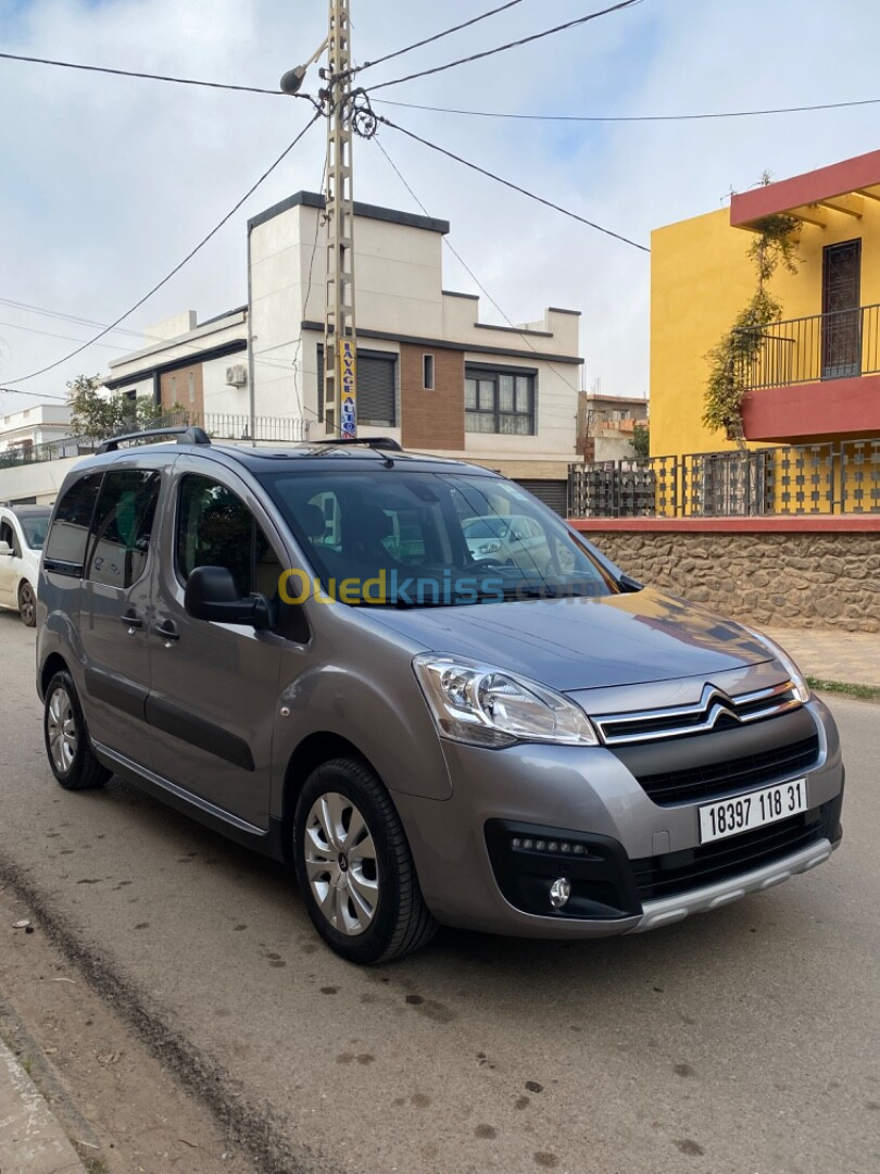 Citroen Berlingo 2018 Berlingo