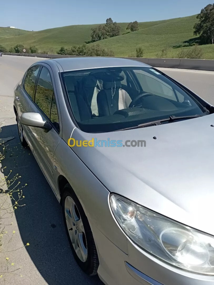 Peugeot 407 2008 407