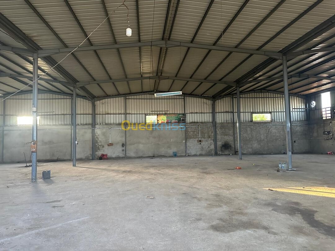 Vente Hangar Blida Meftah