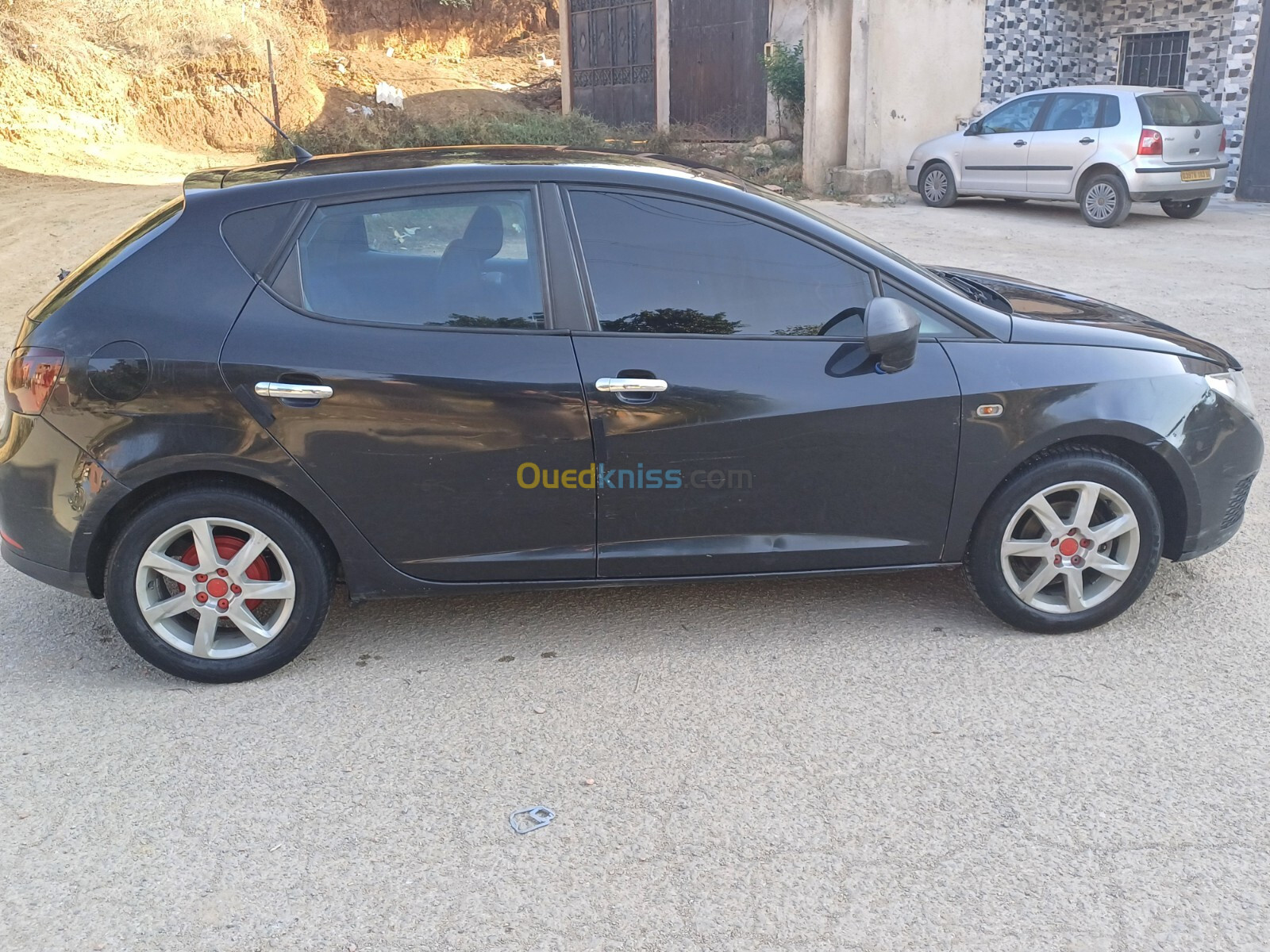 Seat Ibiza 2010 Loca