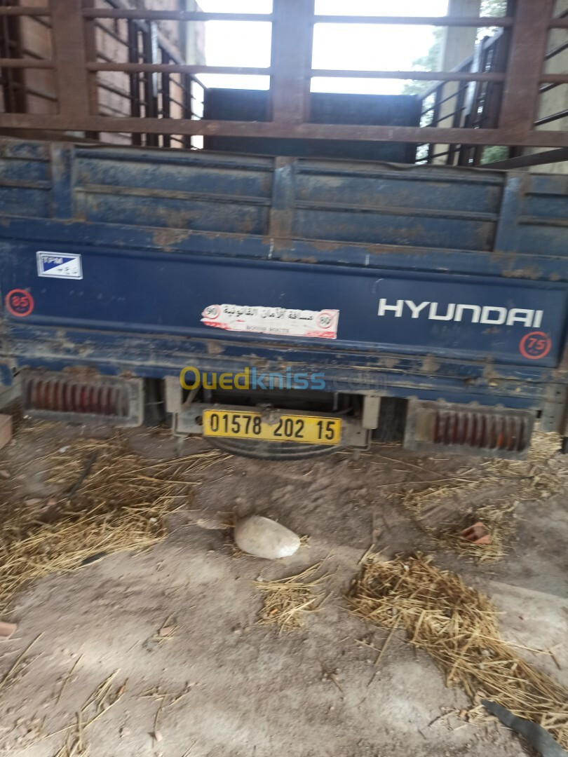 Hyundai hd65 2002